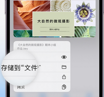 中兴镇apple维修中心分享iPhone文件应用中存储和找到下载文件