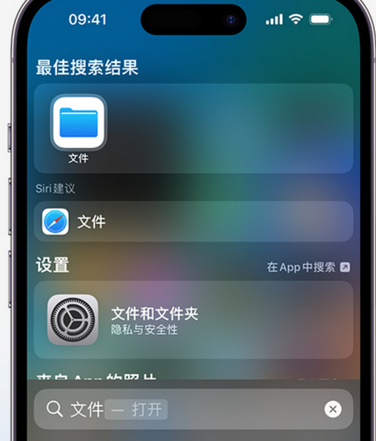 中兴镇apple维修中心分享iPhone文件应用中存储和找到下载文件 