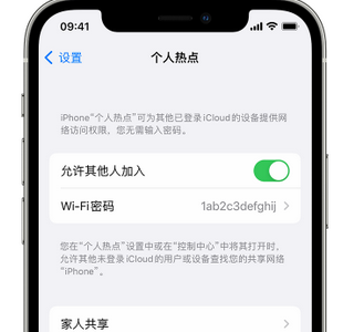 中兴镇apple服务站点分享iPhone上个人热点丢失了怎么办