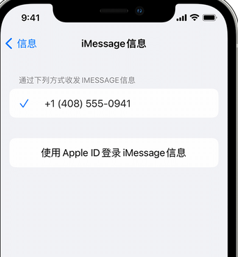 中兴镇apple维修iPhone上无法正常发送iMessage信息 