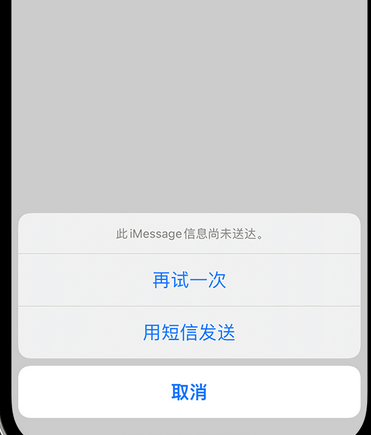 中兴镇apple维修iPhone上无法正常发送iMessage信息