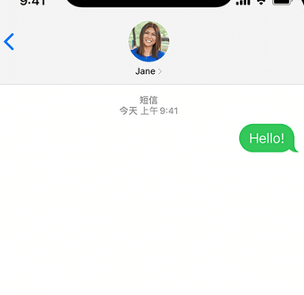 中兴镇apple维修iPhone上无法正常发送iMessage信息