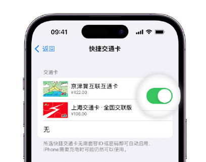 中兴镇apple维修点分享iPhone上更换Apple Pay快捷交通卡手绘卡面 