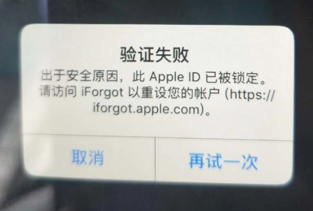 中兴镇iPhone维修分享iPhone上正常登录或使用AppleID怎么办 