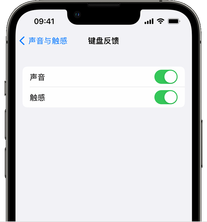 中兴镇苹果14维修店分享如何在 iPhone 14 机型中使用触感键盘 