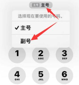 中兴镇苹果14维修店分享iPhone 14 Pro Max使用副卡打电话的方法 