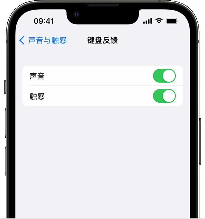 中兴镇苹果14维修分享iPhone 14 系列机型如何开启键盘声音或触感反馈 