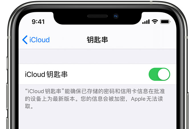 中兴镇苹果手机维修分享在 iPhone 上开启 iCloud 钥匙串之后会储存哪些信息 