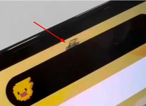 中兴镇苹果14维修分享iPhone 14 Pro Max灵动岛怎么养宠物 