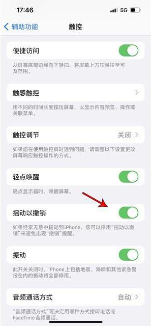 中兴镇苹果手机维修分享iPhone手机如何设置摇一摇删除文字 