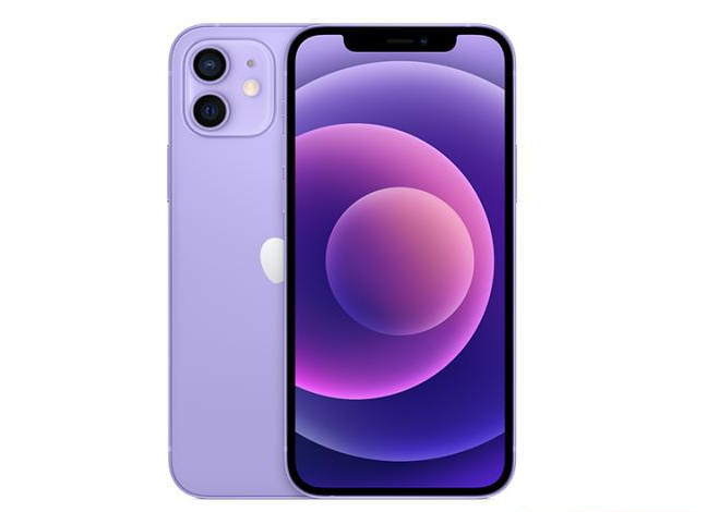 中兴镇苹果手机维修分享现阶段要不要入手紫色版iPhone12 