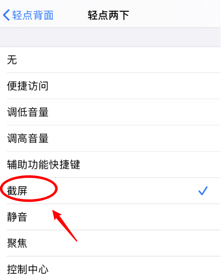 中兴镇苹果手机维修分享iPhone12如何启用双击截屏 