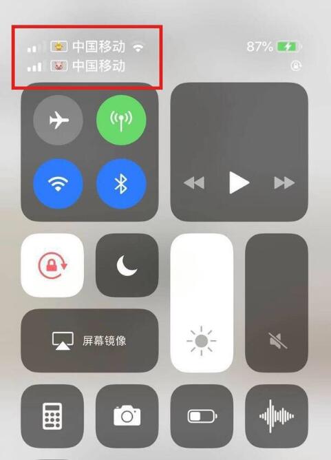 中兴镇苹果手机维修分享为 iPhone 12 双卡设置标签 