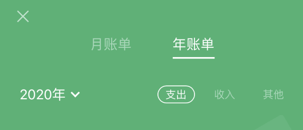 中兴镇苹果手机维修分享如何在 iPhone 上查看支付宝和微信年支出账单 